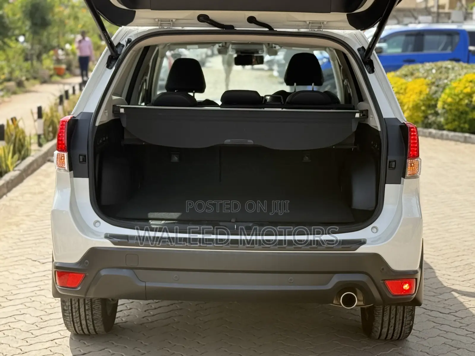 Subaru Forester 2019 Pearl