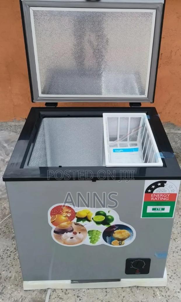 Ecomax 60litres With Lock Deep Freezer