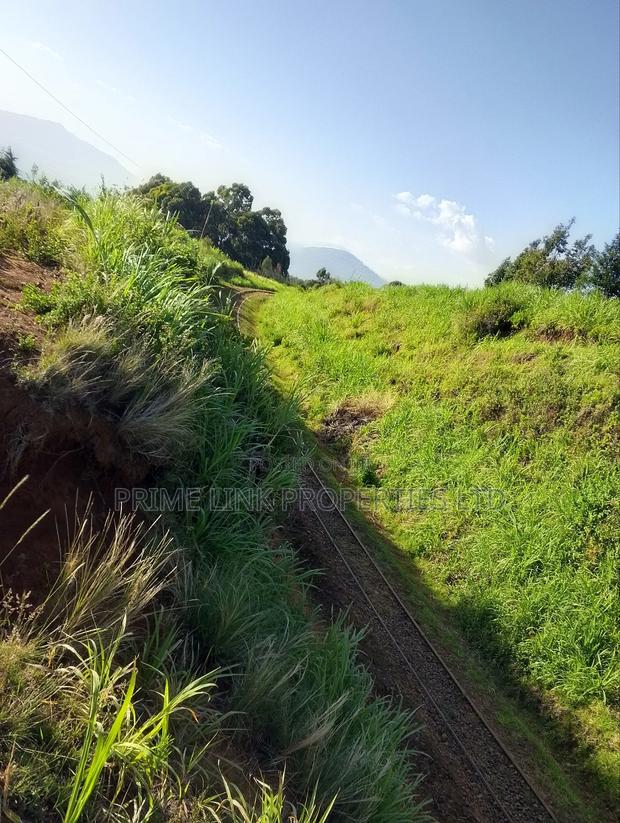 Kimende Agroforestry / Farming Land - main view