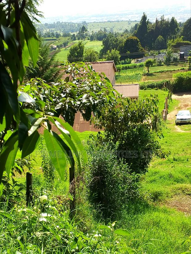 Kimende Agroforestry / Farming Land - thumbnail 6