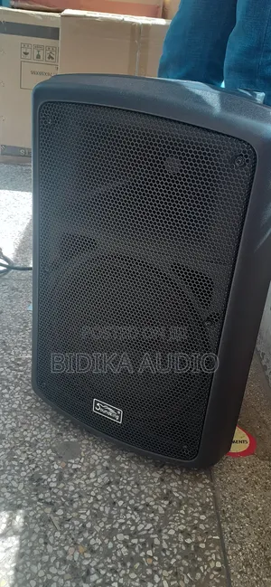 New Soundking Speaker