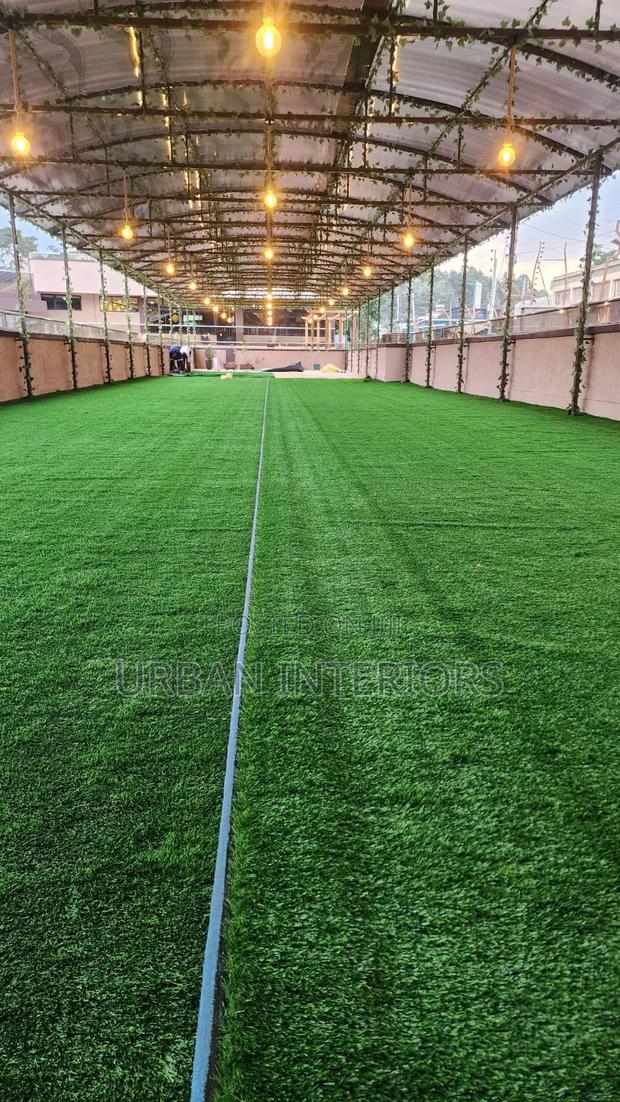 Turf Grass Turf Grass Turf Grass Turf Grass Turf Grass - main view