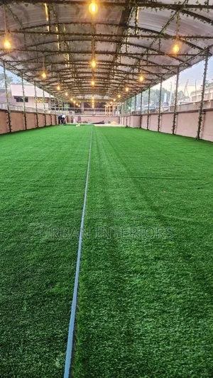 Grass Carpet Grass Carpet Grass Carpet Grass Carpet Grass