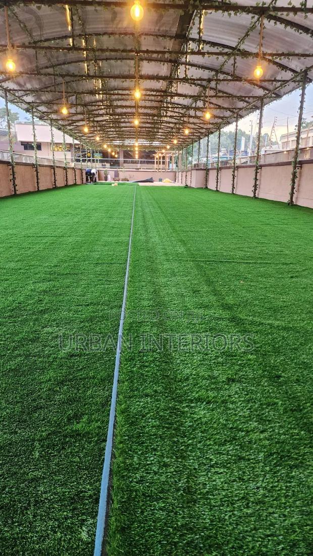 Grass Carpet Grass Carpet Grass Carpet Grass Carpet Grass