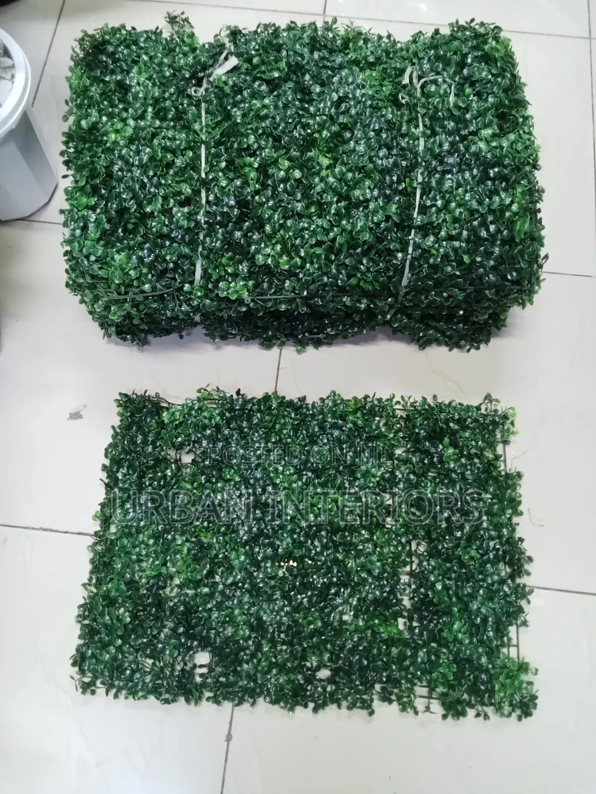 Green Wall Plants Green Wall Plants Wall Plants