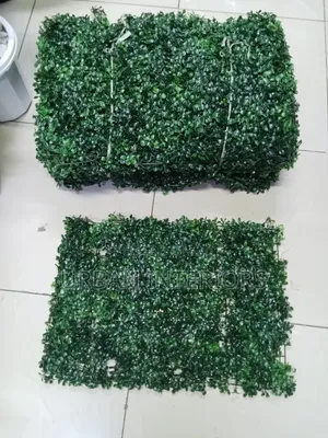 Green Wall Plants Green Wall Plants Wall Plants