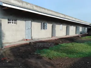 House Painter
