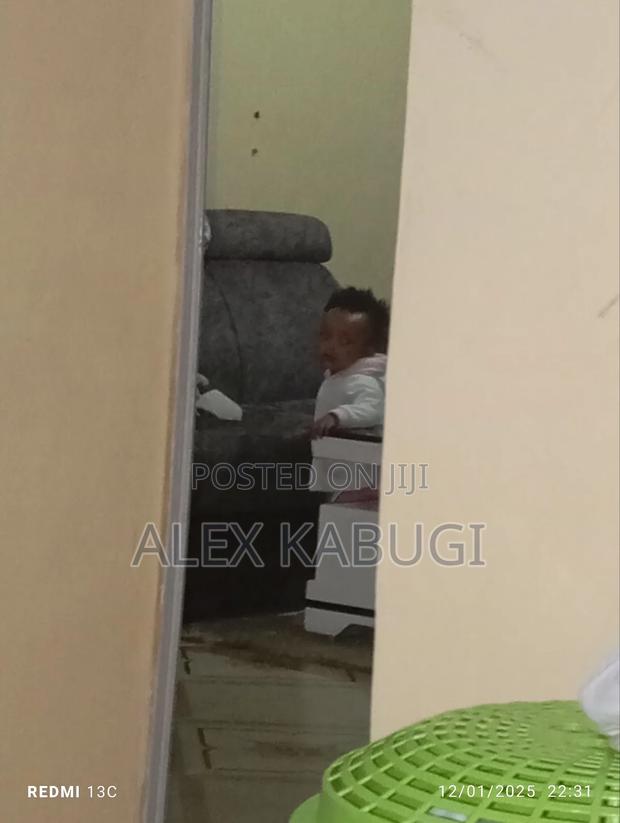 1bdrm Block of Flats in Ruiru Cbd for rent - thumbnail 5