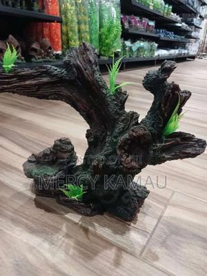 Fish And Aquariums - thumbnail 2