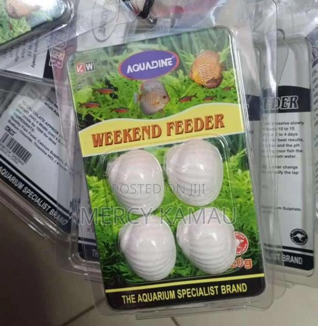 Fish And Aquariums - thumbnail 3