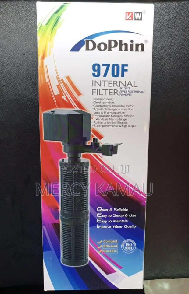 Fish And Aquariums - thumbnail 4