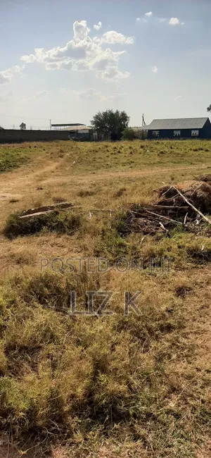 Quarter Acre in Mugutha(100x100)