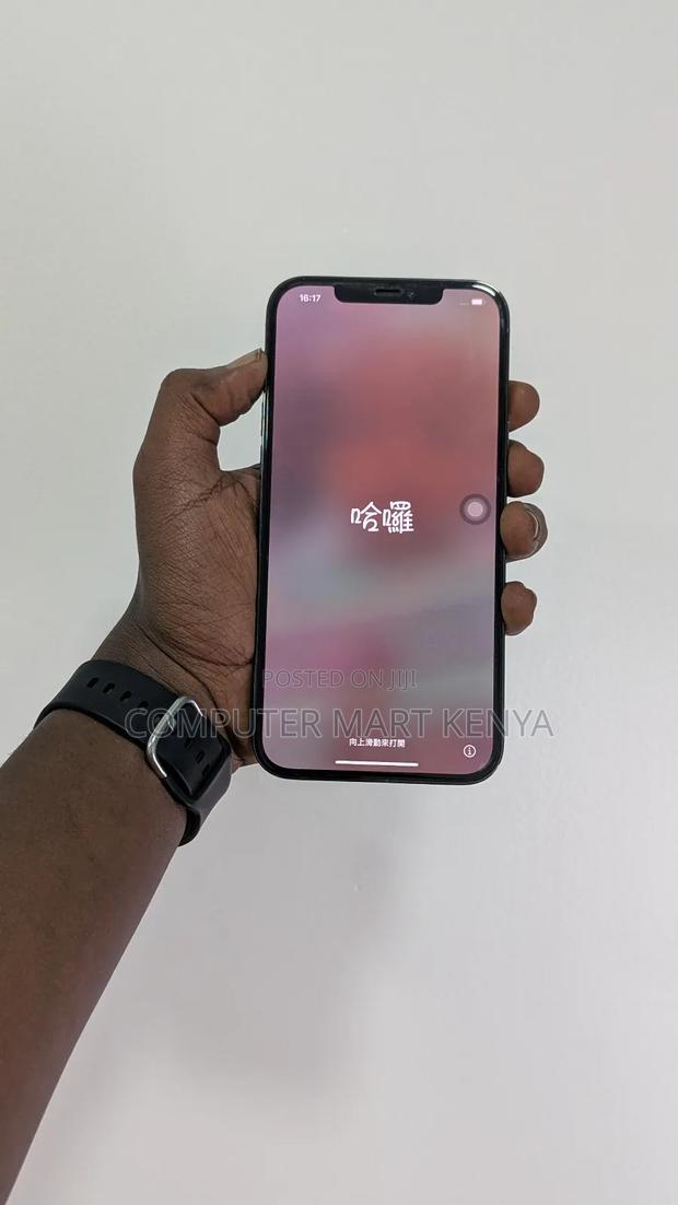 Apple iPhone 12 Pro Max 256 GB Gray - main view