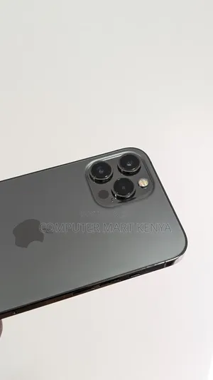 Apple iPhone 12 Pro Max 256 GB Gray