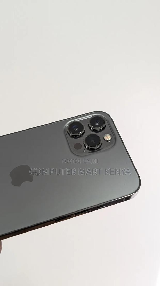 Apple iPhone 12 Pro Max 256 GB Gray - thumbnail 2