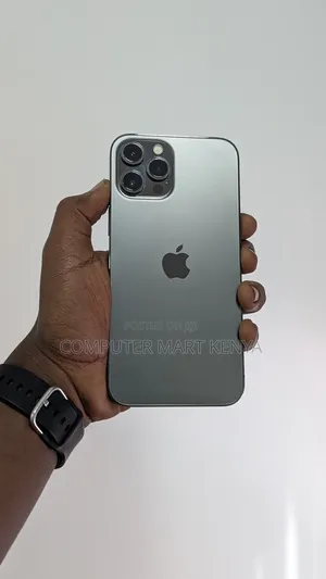 Apple iPhone 12 Pro Max 256 GB Gray