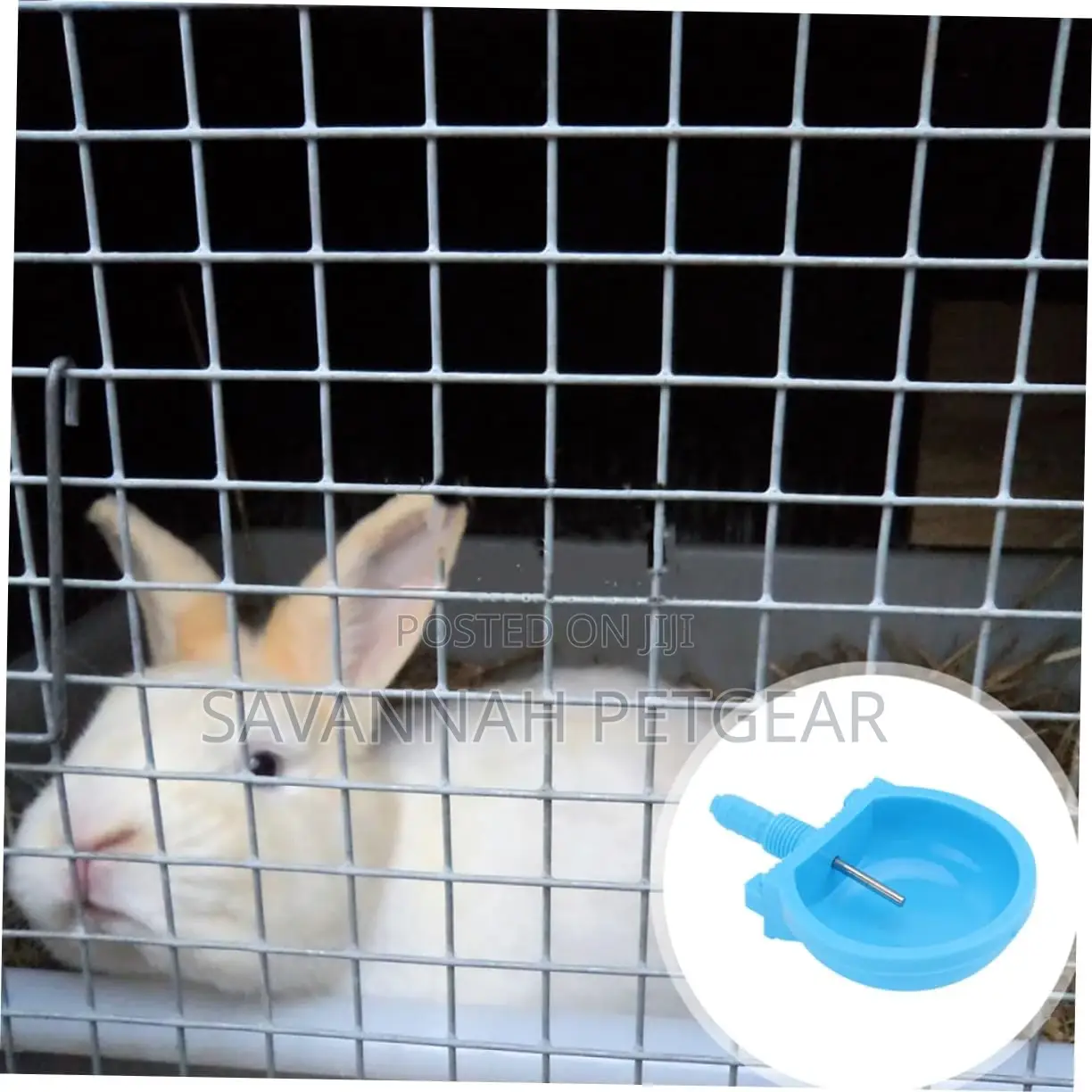 20pcs Bunny Water Bowl Drinking Bowls Hanging Rabbit Feeder