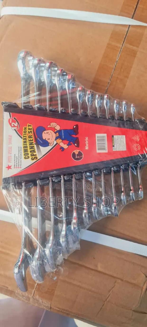 12 in 1 Combined Spanners - main view