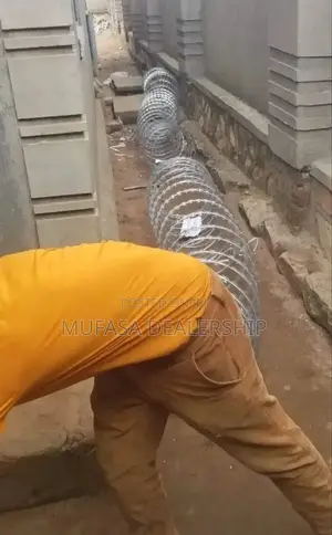 Galvanized Razor Wires