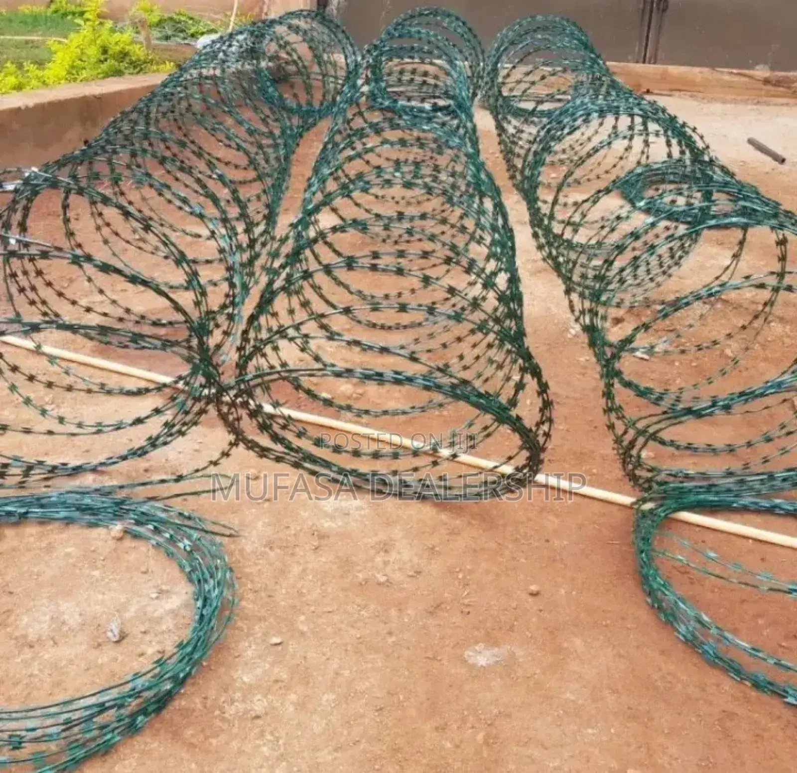 Green Galvanized Razor Wires