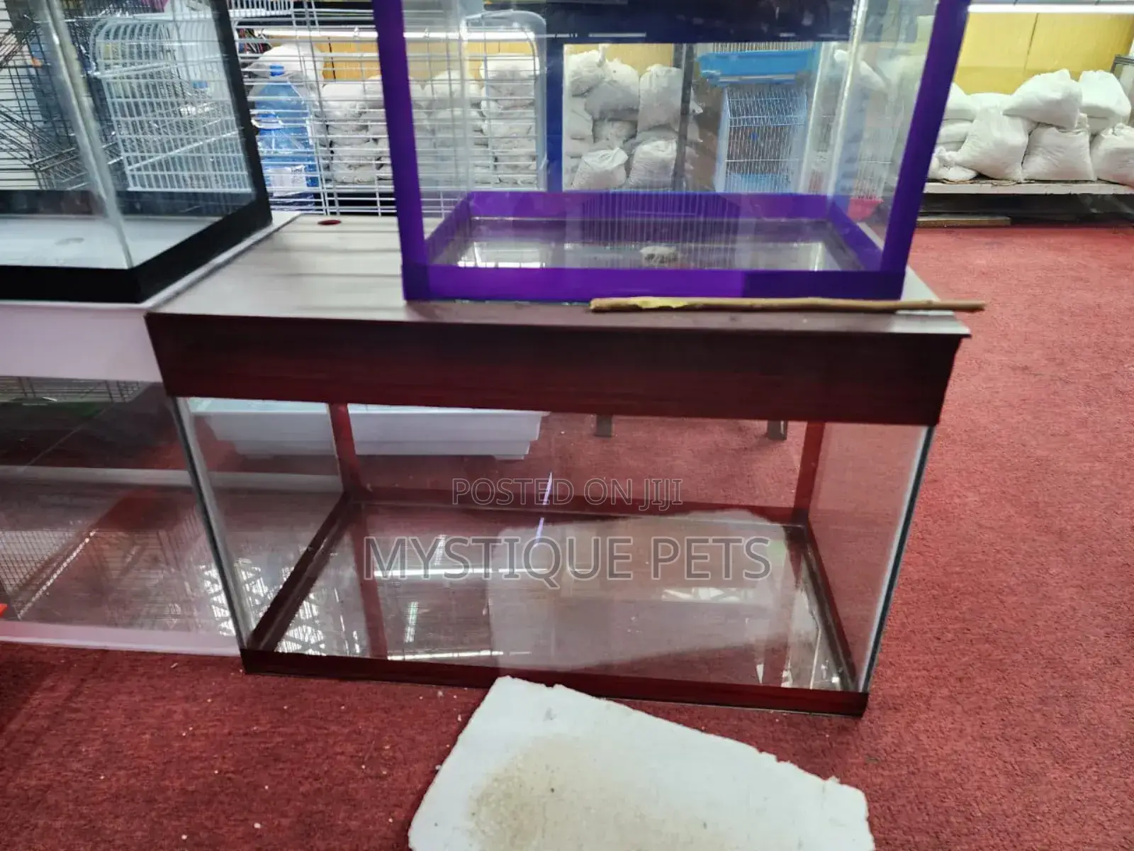 Small Locally Made Aquarium