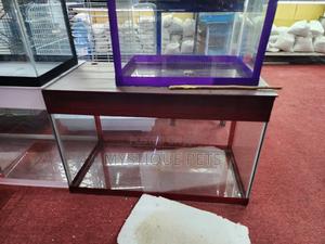 Small Locally Made Aquarium - thumbnail 2