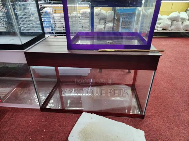 Small Locally Made Aquarium - main view