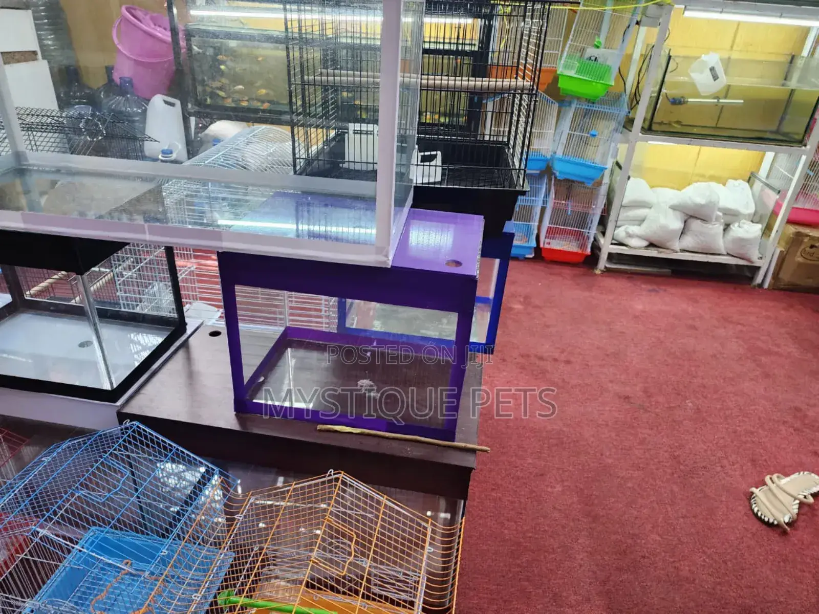 Small Locally Made Aquarium