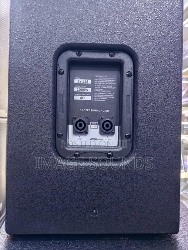Zy 15inch Midrange Speaker - thumbnail 3