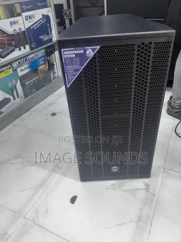 Zy 15inch Speaker (Long -Through Sound) - main view