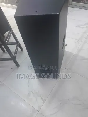 Zy 15inch Speaker (Long -Through Sound)