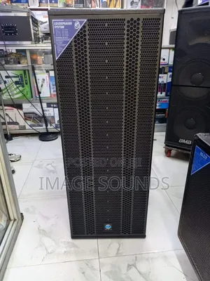 Fullrange Speaker Zy215