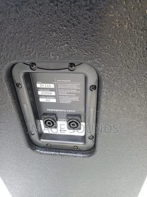 Fullrange Speaker Zy215
