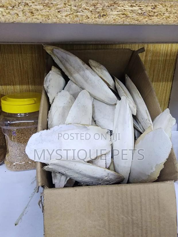 Culcium Block - main view