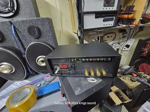 Digital Face Amplifier