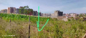 100*100ft Murram Plot at Witeithie 1 Km From Super Highway