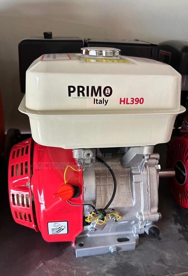 Primo Italy Gasoline Engine HL 390 13hp