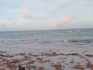 Malindi Mayungu Beach Plot 4 Acres - thumbnail 2