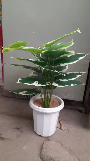 White Flowered Plant in Plastic Vase Plus Stones