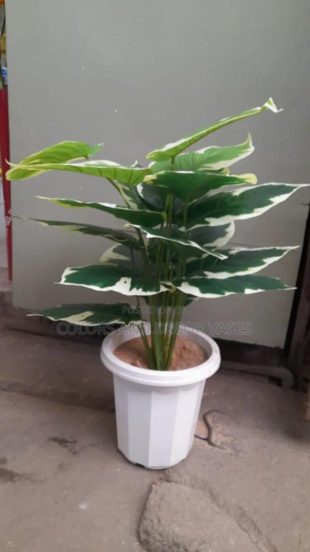 White Flowered Plant in Plastic Vase Plus Stones - main view