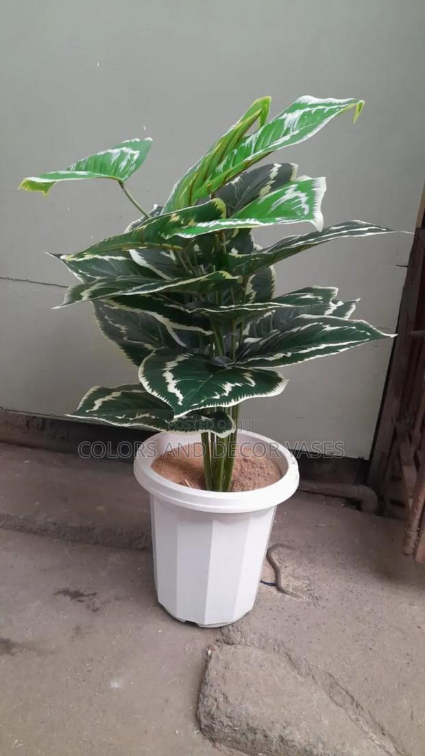 White Vase,Plant and Pebble Stones - main view