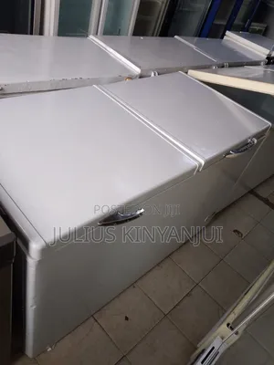 Double Doors Deep Freezer