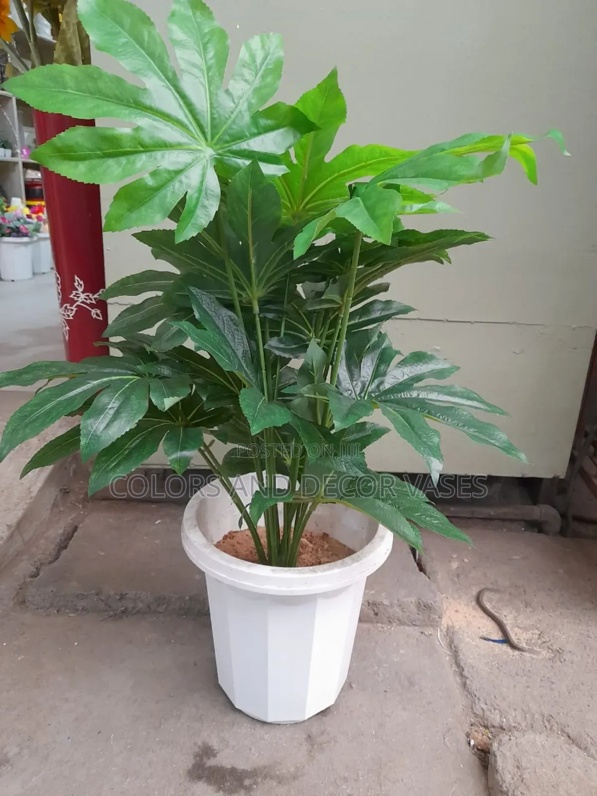 Flowered Plant,Plastic Vase/Stones