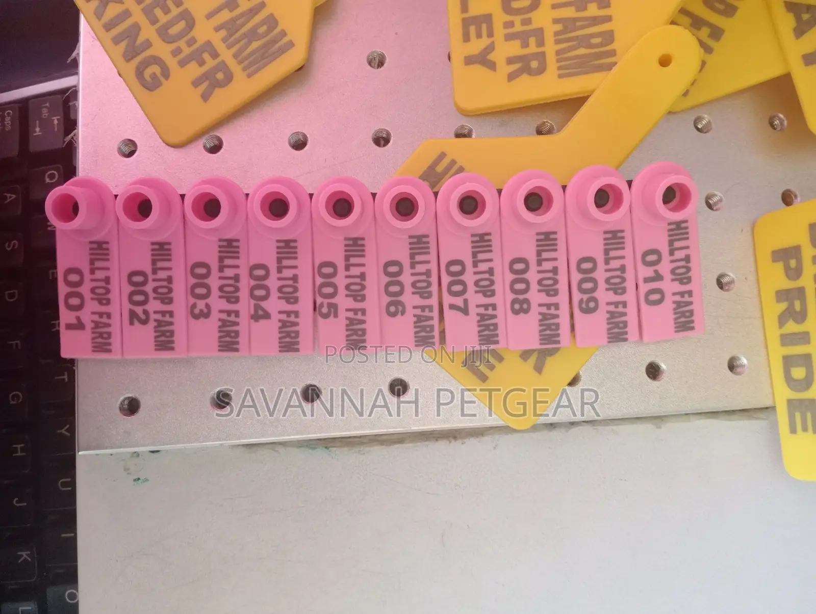 Customized Goat, Sheep, Pig Ear Tags - Assorted Colours