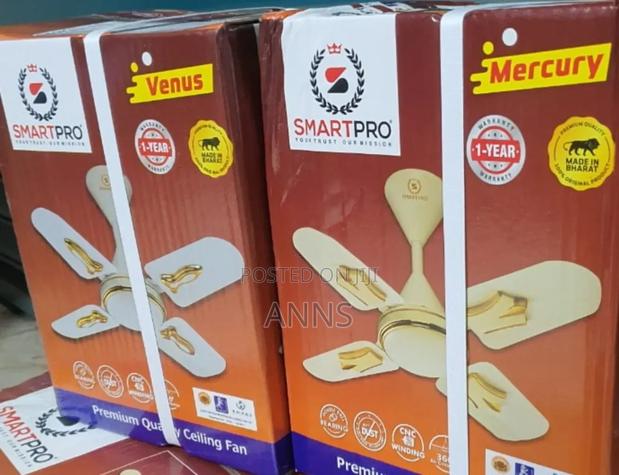 Smart Pro 24" Ceiling Fan - main view