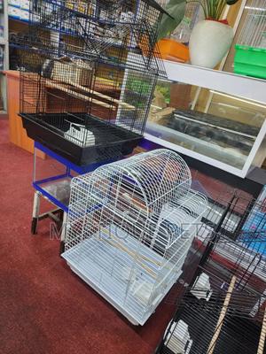 Bird Cages - thumbnail 2