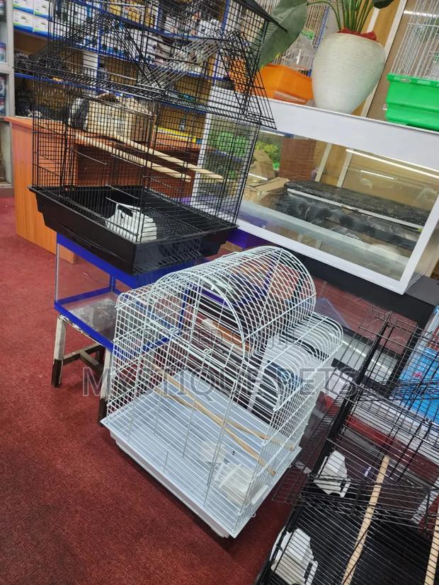 Bird Cages - main view