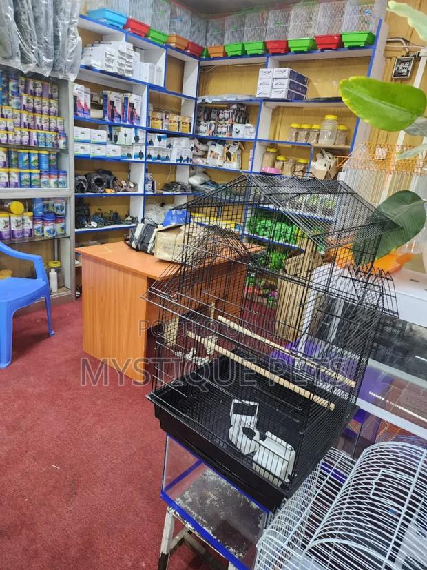 Black Birds Cage - main view