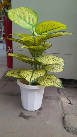 Yellow Flowered Plant With Vase and Decorative Pebble Stones