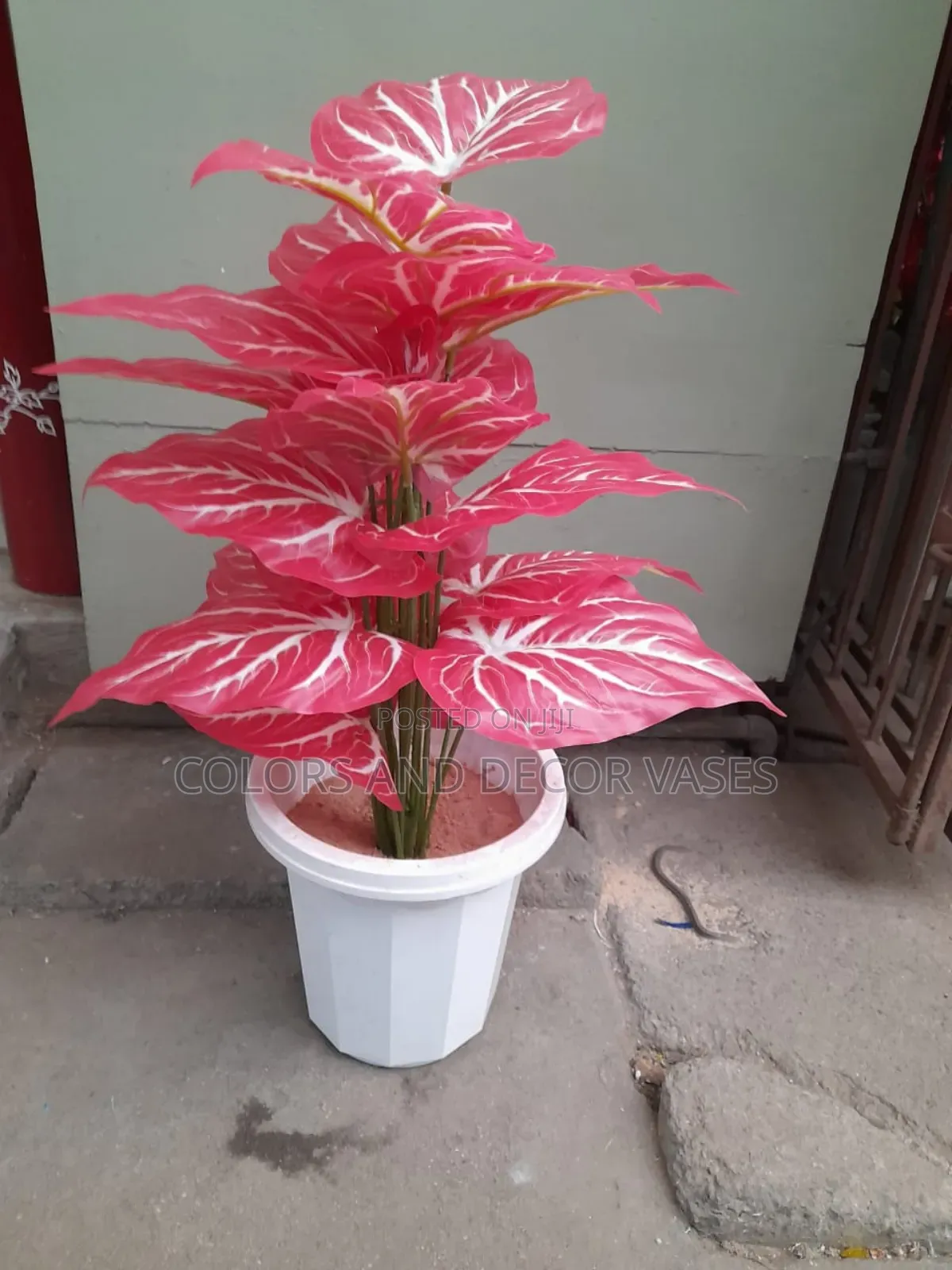 Red Flowered Plant In Vase And Stones